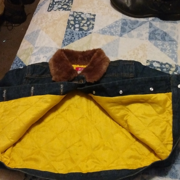 - Bongo - Picture 5 of 6